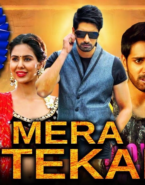 Mera Intekam (2019