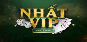 Nhatvip Launches Many New Features This Year