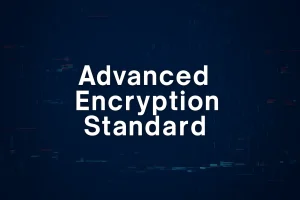 Advanced Encryption Standard